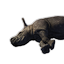 Rhinoceros Carcass