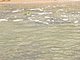 Hammock Dunes Flagler County Florida 7.jpg
