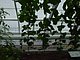 Longwood Gardens Pennsylvania 128.jpg
