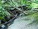 Photo Blueridge Mountains Virginia Smokey Smokies 106.jpg