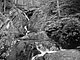 Photo Blueridge Mountains Virginia Smokey Smokies 115.jpg