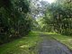 Washington Oaks Flagler County Florida 49.jpg