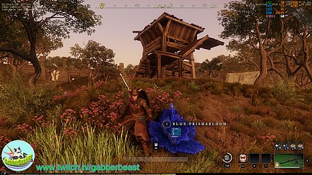  gathering harvesting blue prismabloom identification image for Amazon New World