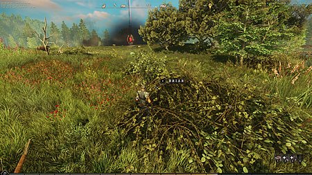  gathering harvesting briarthorn identification image for Amazon New World